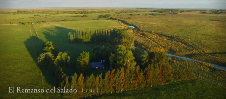 Para Walter Lorenz, en ganadería regenerativa las claves son el descanso del potrero y los pulsos breves de pastoreo. Y la mayor traba, la resistencia a cambiar