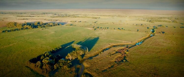 Para Walter Lorenz, en ganadería regenerativa las claves son el descanso del potrero y los pulsos breves de pastoreo. Y la mayor traba, la resistencia a cambiar