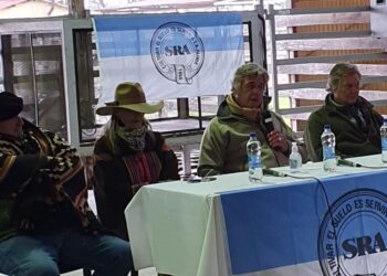 Luego de esperar en vano por una promesa de Kulfas, el presidente de la Sociedad Rural afirma que “con el cierre de exportaciones de carne perdimos todos”