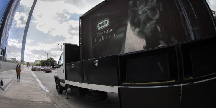 Un tango para AGD: Con Gardel de fondo, reclaman que una productora nacional de mayonesa desista de los huevos de gallinas criadas en jaula