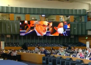 Tranquilos: Basterra y Solá defendieron los sistemas de producción argentinos en la pre-Cumbre de la ONU