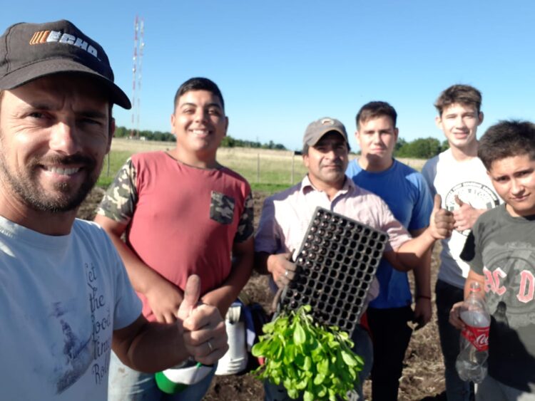 El radicchio es como una gran flor que se cierra: Luis Bastit decidió abrir su sueño de producirlo y hasta pudo exportarlo