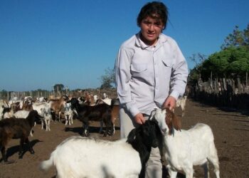 Llegan a 64 mil los productores pequeños del RENAF que a la vez han gestionado su inscripción en el registro sanitario del Senasa