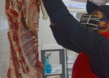 La Argentina dejó de exportar 40 mil toneladas de carne en junio pasado: ¿Usted notó alguna diferencia?