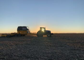 Cosas que pasan en la Argentina: La cebada forrajera tiene un precio FAS superior al del trigo pan a pesar de tener un FOB mucho más bajo