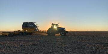 Cosas que pasan en la Argentina: La cebada forrajera tiene un precio FAS superior al del trigo pan a pesar de tener un FOB mucho más bajo
