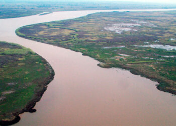 La “Red de Faros” para evitar nuevos incendios en el Delta del Paraná será administrada por Parques Nacionales