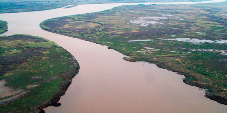 La “Red de Faros” para evitar nuevos incendios en el Delta del Paraná será administrada por Parques Nacionales
