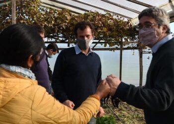 Ezequiel Wainer se hizo vegetariano por elección a los 8 años: Hoy es un funcionario clave de Kicillof para impulsar la agroecología en Buenos Aires