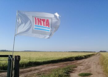 Rechazo de investigadores y productores por la avanzada política para repartir las tierras del INTA