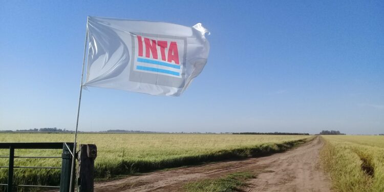 Rechazo de investigadores y productores por la avanzada política para repartir las tierras del INTA