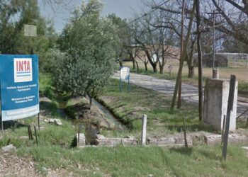 El mayor peligro estaba en el Congreso: El Senado le dio media sanción a un proyecto para quitarle tierras de investigación al INTA Catamarca