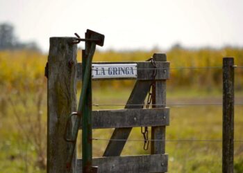 Meritocracia: La coordinadora de Ceremonial de Agricultura es casualmente la hija de un kirchnerista que es vicepresidente del Senasa
