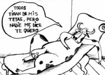 Los vacunos, al diván: Otra vez la avicultura impuso su aceitado lobby y logró picotear créditos por $ 2.000 millones para invertir en nuevos galpones