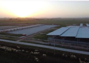 Los criadores de Angus confirmaron la compra de 3 hectáreas para hacer exposiciones en el nuevo polo agroganadero de Cañuelas