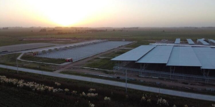 Los criadores de Angus confirmaron la compra de 3 hectáreas para hacer exposiciones en el nuevo polo agroganadero de Cañuelas