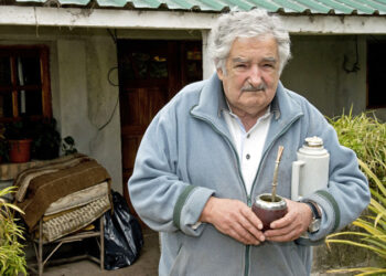 Grandes misterios de la humanidad: ¿Por qué la yerba mate argentina tiene un sabor diferente a la que toman los uruguayos y brasileños?