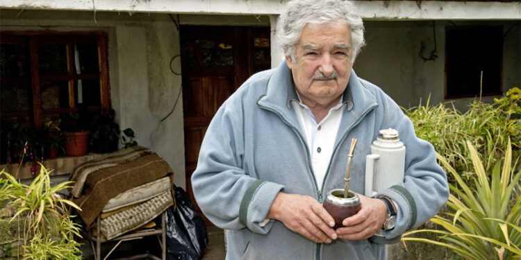 Grandes misterios de la humanidad: ¿Por qué la yerba mate argentina tiene un sabor diferente a la que toman los uruguayos y brasileños?