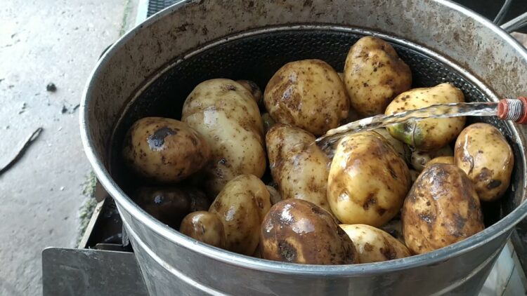 Para tener papas todo el año, lo mejor es almacenarlas: Y de eso sabe mucho la familia Pereyra
