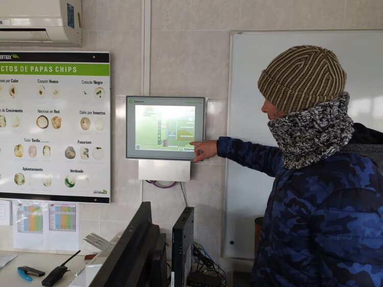 Para tener papas todo el año, lo mejor es almacenarlas: Y de eso sabe mucho la familia Pereyra