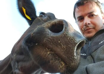 El veterinario influencer: Manuel Martínez adaptó su contenido educativo a las redes para llegar a mejor sus alumnos y ahora sus videos recorren todo el país