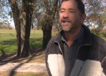 Santiago Sarandón habla sobre la siembra directa: “Vino bien en un momento donde había un exceso de laboreo, pero se transformó en una religión, algo dogmático e intocable”