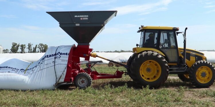 Política ingrata: Ahora que los productores “acaparadores” vendieron rápido sus granos, nadie los felicita