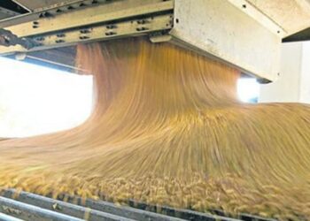 Se recuperan las fábricas aceiteras y se molió más soja en el primer semestre del año