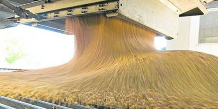 Se recuperan las fábricas aceiteras y se molió más soja en el primer semestre del año