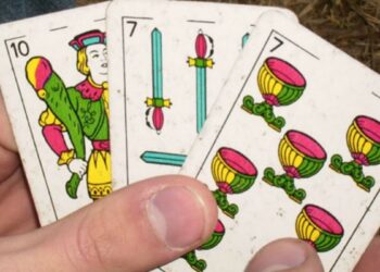 El INTA Barrow canta vale cuatro: Tras diez años de ensayos reafirma que “la agroecología es una opción competitiva y sostenible”