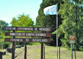 Buenos Aires tiene 14 chacras experimentales repartidas por toda la provincia: ¿Qué función cumplen?