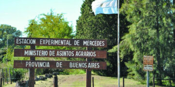 Buenos Aires tiene 14 chacras experimentales repartidas por toda la provincia: ¿Qué función cumplen?