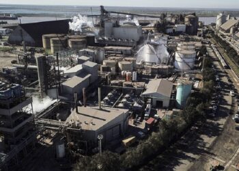 AgroEmpresas: Vicentin está cerca de cerrar su venta y presentar un plan de pago a sus acreedores