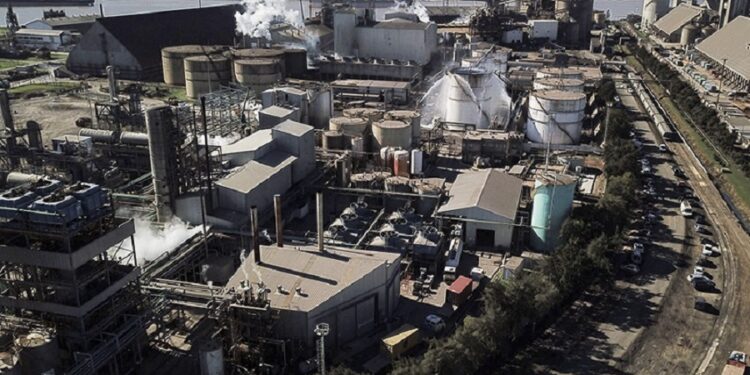 AgroEmpresas: Vicentin está cerca de cerrar su venta y presentar un plan de pago a sus acreedores