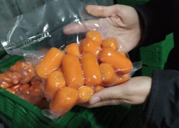 Los Rolls Royce de la zanahoria: Un histórico empaque de Luján ahora vende esa verdura envasada y lista para consumir