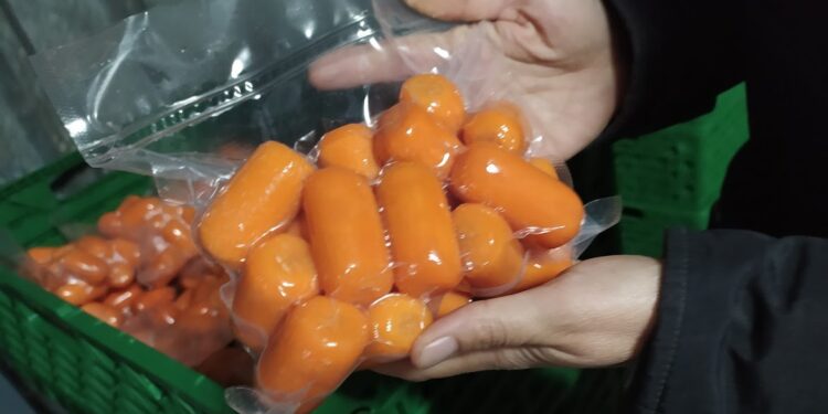 Los Rolls Royce de la zanahoria: Un histórico empaque de Luján ahora vende esa verdura envasada y lista para consumir