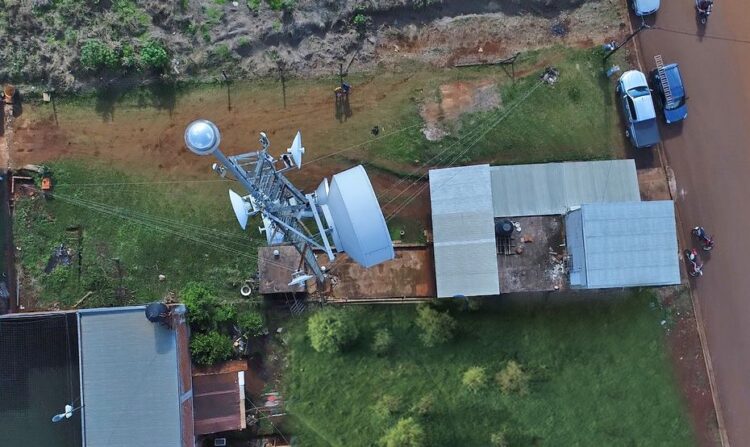 Se acerca Santa Rosa: ¿Por qué un rayo puede matar decenas de vacas en un campo y qué hacer para evitarlo?