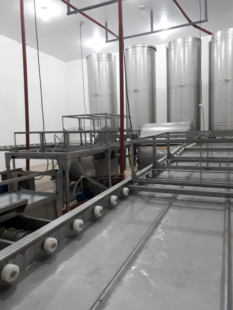 Leandro Graziano es tercera generación de apicultores y se animó a producir orgánico con 500 colmenas en La Pampa