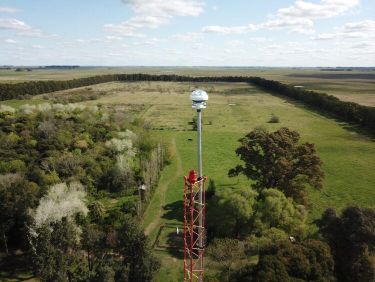 Se acerca Santa Rosa: ¿Por qué un rayo puede matar decenas de vacas en un campo y qué hacer para evitarlo?