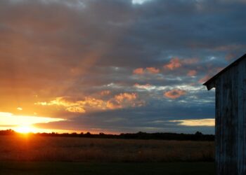 ¿Una luz de esperanza? Algunos modelos climáticos no prevén la instauración de una fase “Niña” en el verano 2021/22