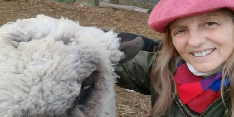 Ovinos de la Cruz: Los ovejeros del norte bonaerense ya venden carne pareja y con trazabilidad