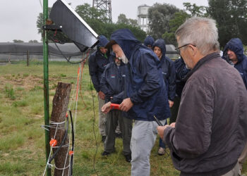 La Secretaría de Energía adquirió casi 3000 boyeros eléctricos a un precio promedio de 730 dólares