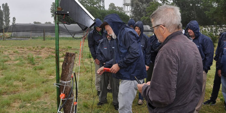 La Secretaría de Energía adquirió casi 3000 boyeros eléctricos a un precio promedio de 730 dólares