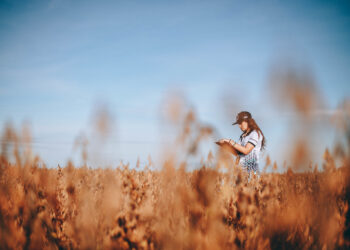 ¿Cómo hizo Brasil para “pasarle el trapo” a la Argentina en la producción de soja?