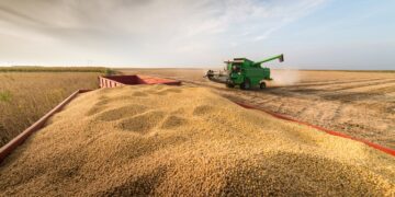 Conab anticipa para 2021/22 un aumento de superficie de maíz y soja en Brasil pero avisa que todo puede fallar si aparece La Niña