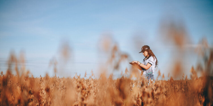 ¿Cómo hizo Brasil para “pasarle el trapo” a la Argentina en la producción de soja?