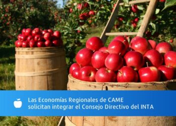 CAME también pide ser parte del Consejo Directivo del INTA en representación de las economías regionales