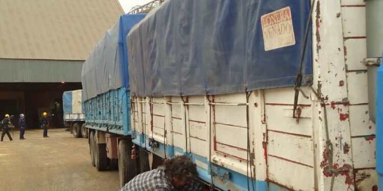 Frente a las dificultades para conseguir cupos, muchos productores usaron al Matba Rofex como “cobertura logística”