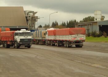 El principal complejo industrial argentino está operando con márgenes negativos