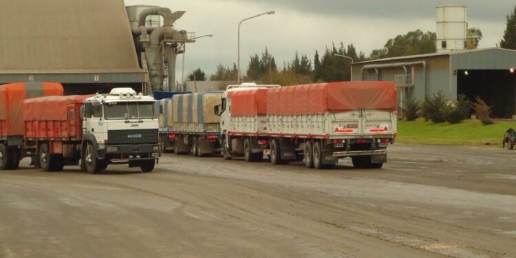 El principal complejo industrial argentino está operando con márgenes negativos